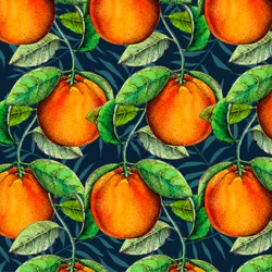 Andalusian Oranges, 2017